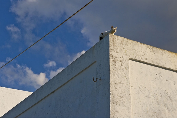 Photograph Jure Kravanja Siesta V. on One Eyeland